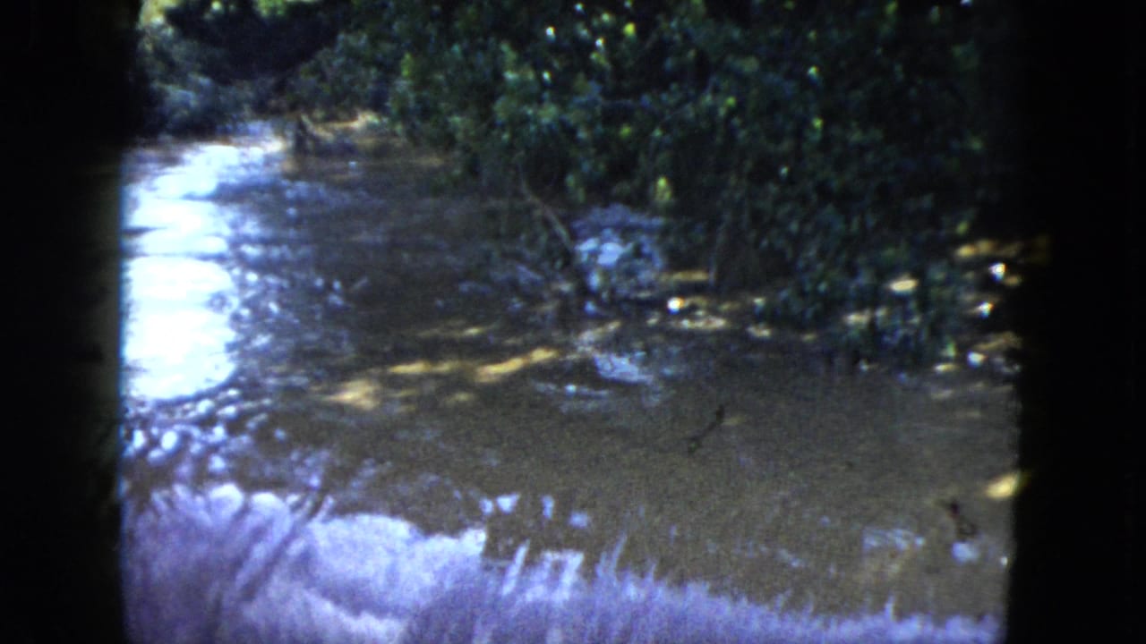1951 Cleveland-area 8mm frame showing fast river water, foam, rocks, and shaded tree cover before a waterfall.