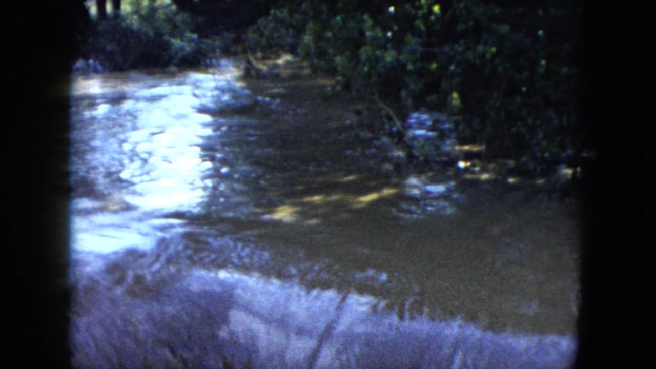 Rushing river surface bordered by dense trees and dark shadows.