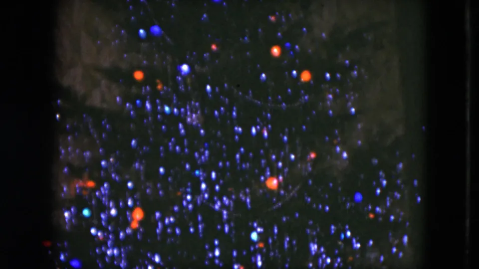 1951 Cleveland 8mm frame of a decorated Christmas tree, with blue-white tinsel sparkle and scattered red and blue bulbs.