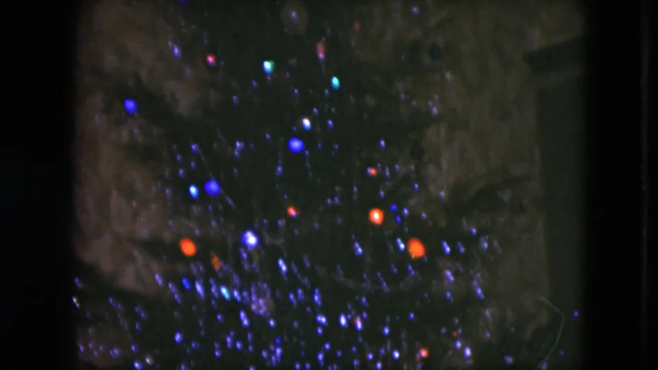1951 Cleveland frame with dim evergreen branches and scattered blue and orange Christmas lights on 8mm film.