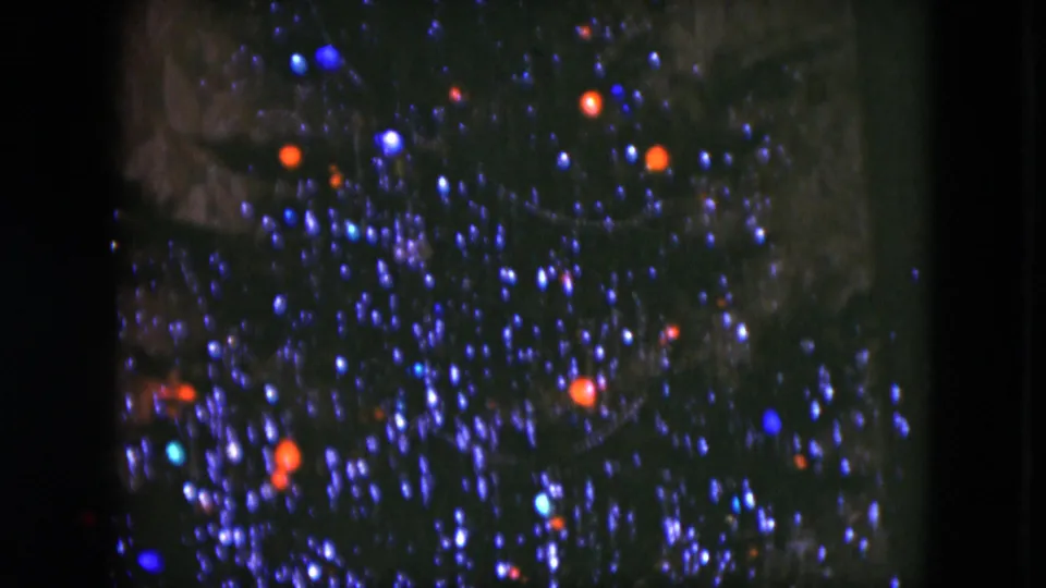 End frame from a 1951 Cleveland home movie showing dense blue and orange Christmas lights on dark evergreen branches.