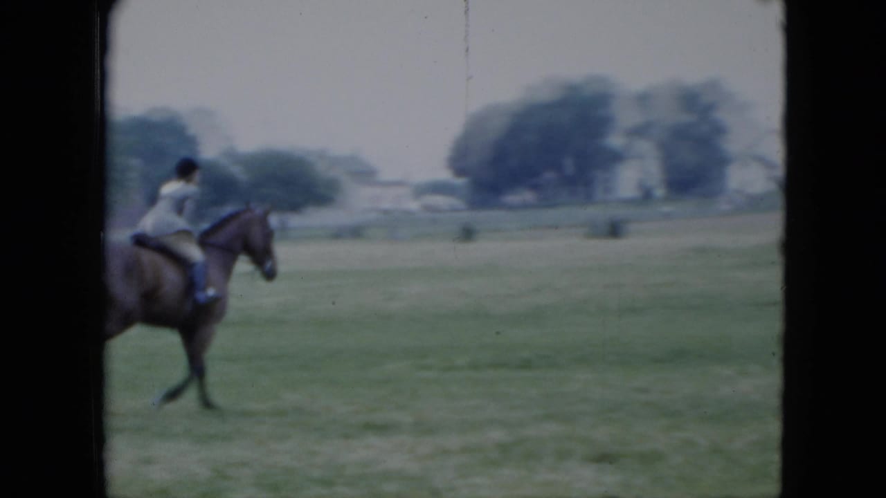 Woman riding a dark horse across a grassy field with trees and houses in the distance.
