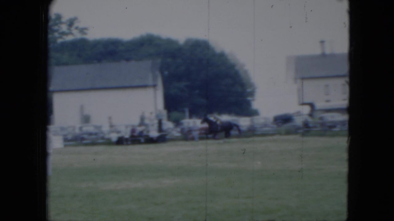 1951 Cleveland horse-show view showing a dark horse and rider near the sideline, with spectators, parked cars, trees, and a white building in the background.