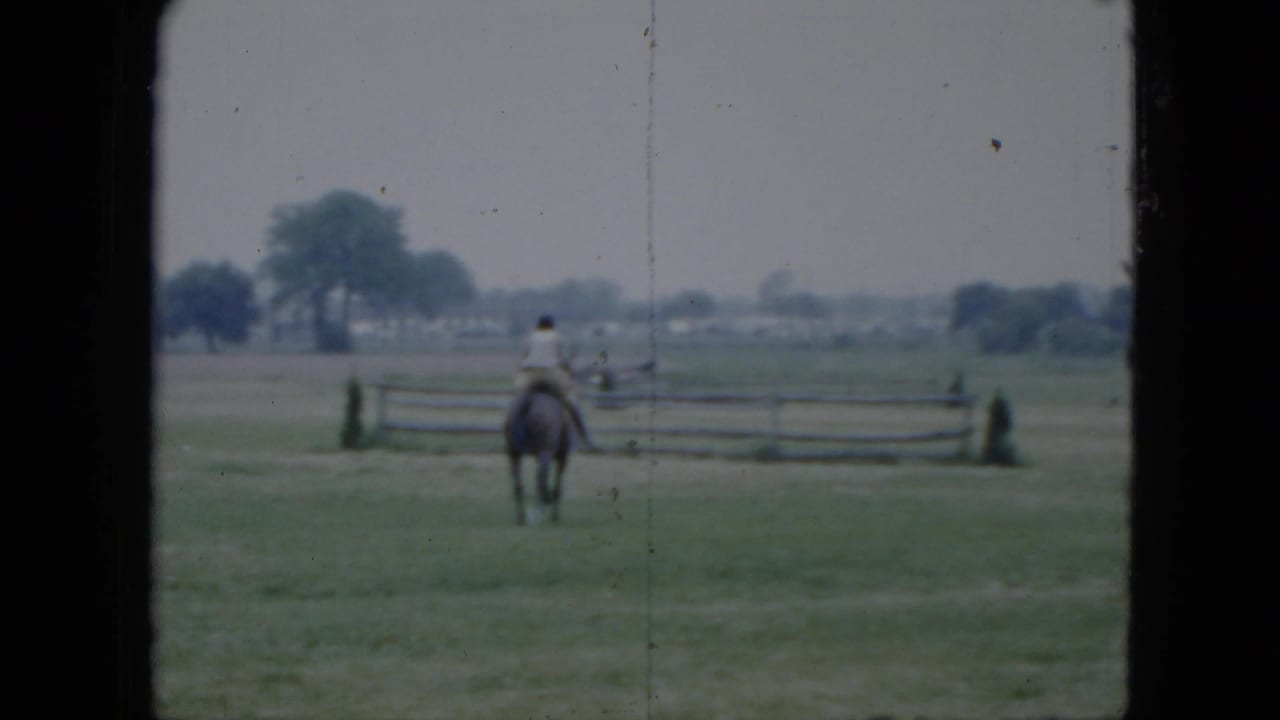 Horse and rider seen from behind moving toward a fence in an open field.