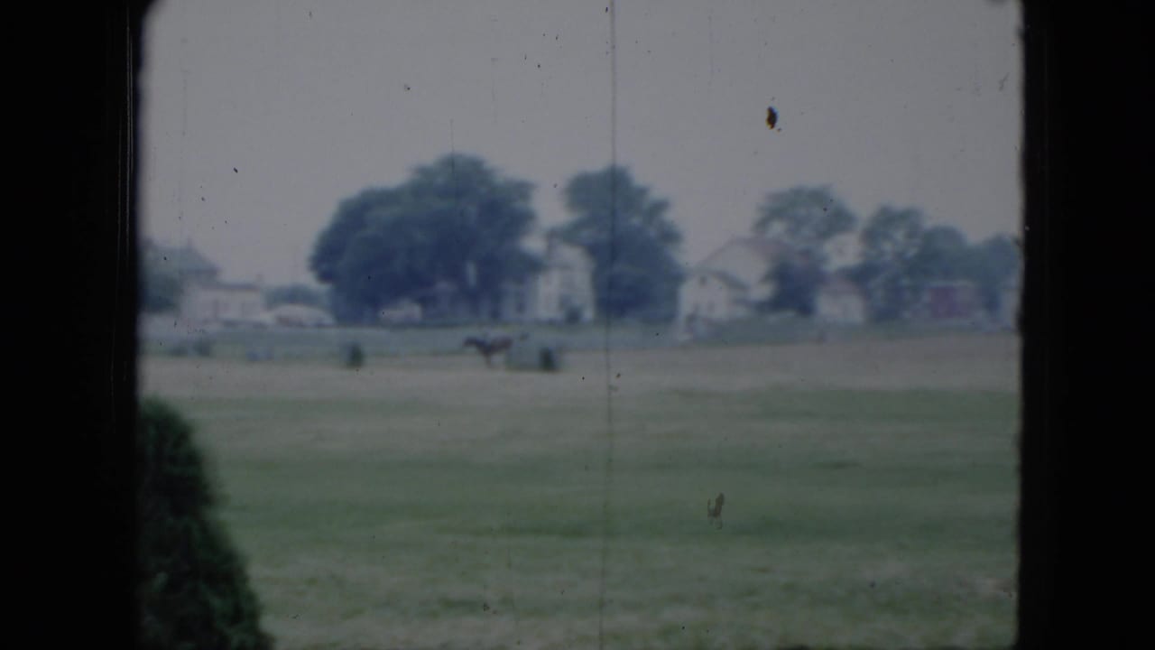 Horse and rider farther across the field with houses and trees in the distance.