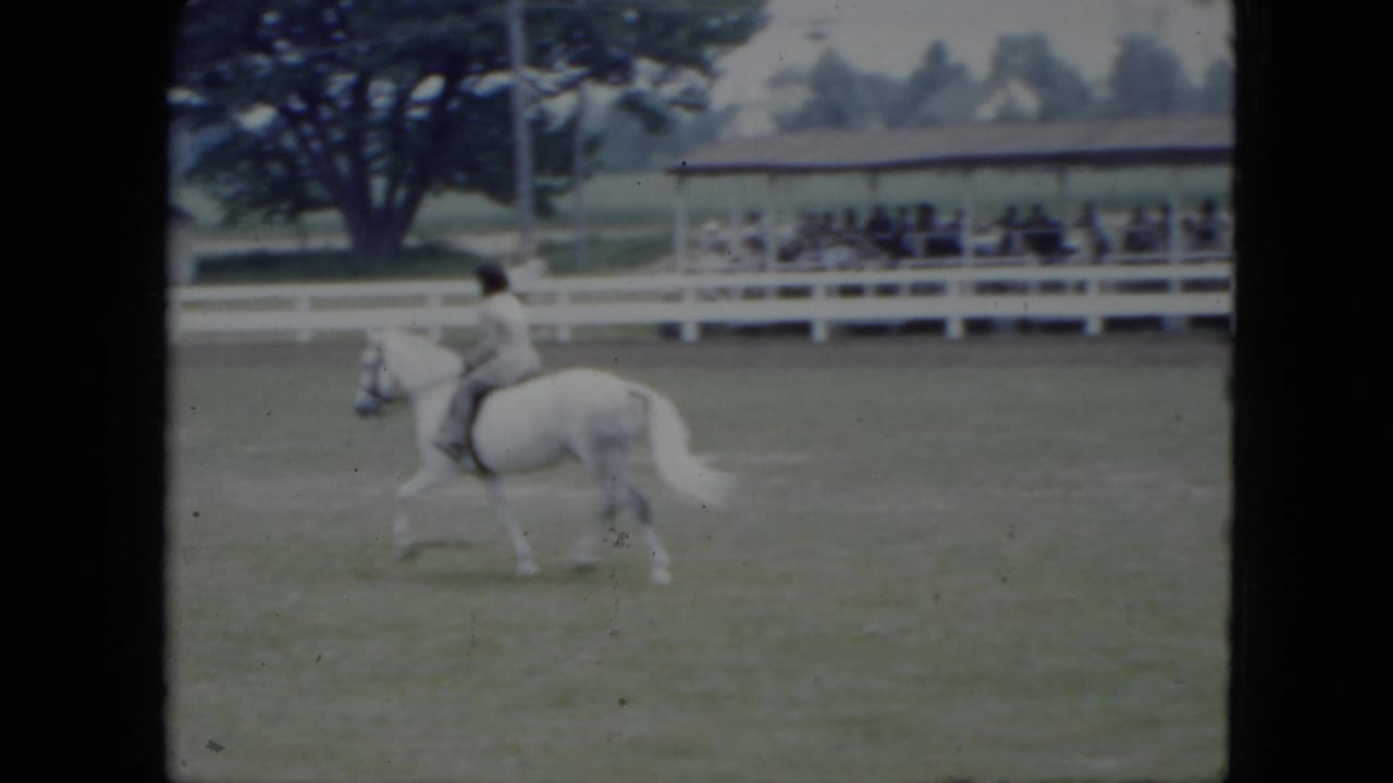 Rider on a white horse moving across a grassy field near a white fence.