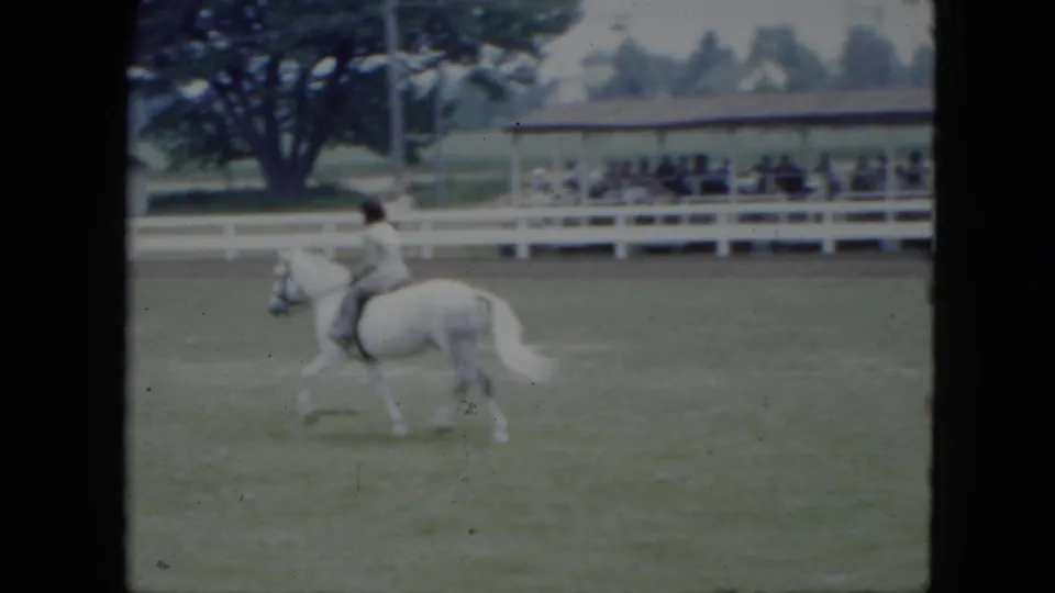 In 1951 Cleveland footage, a rider in light clothing trots a white horse across an outdoor equestrian field with spectators behind a fence.