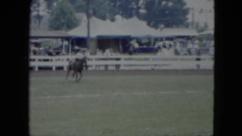 A dark horse and rider move across the Cleveland equestrian field with spectator tents, fencing, and parked cars in the background.