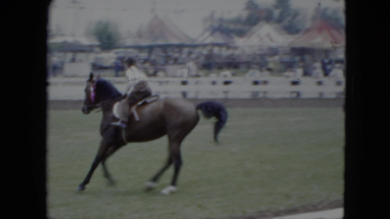 A brown horse trots across the grassy ring as the rider sits upright, with spectators and colorful tents behind the fence.