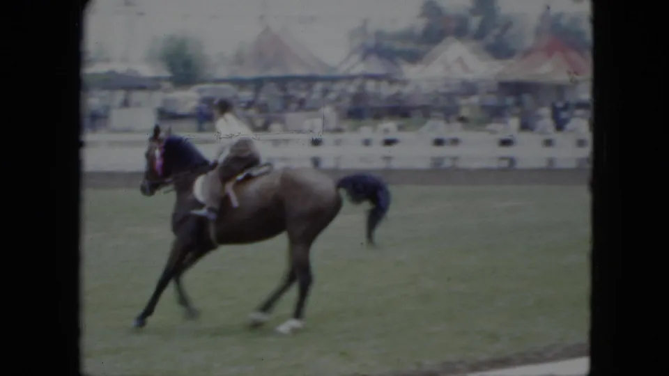A brown horse trots across the grassy ring as the rider sits upright, with spectators and colorful tents behind the fence.