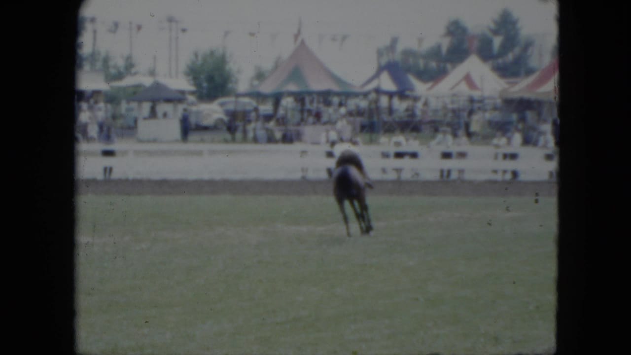 1951 Cleveland home-movie frame showing a dark horse and rider on grass, with fair tents, spectators, trees, and parked cars in the background.