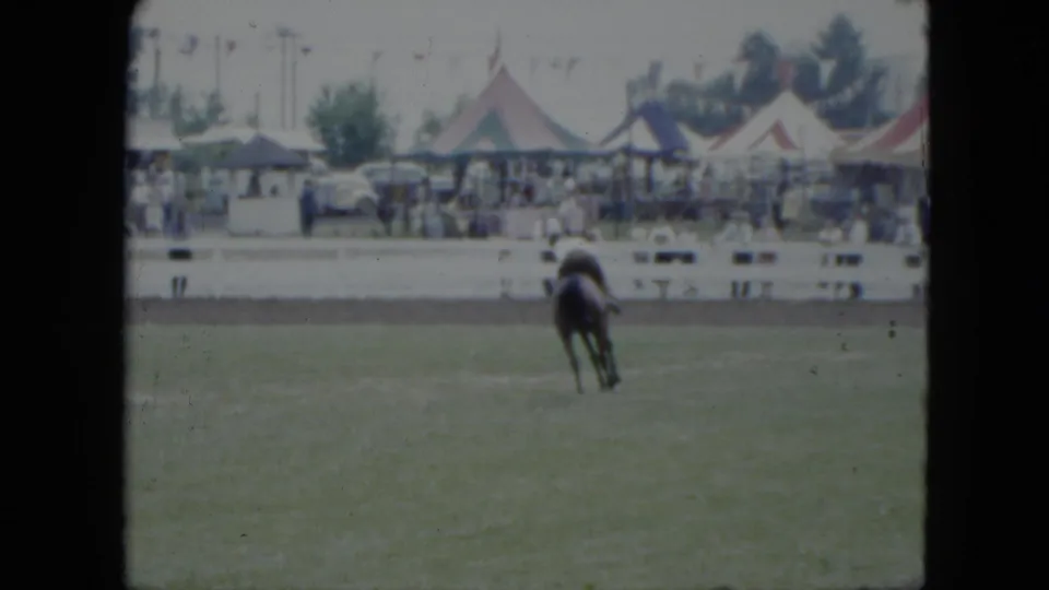 1951 Cleveland home-movie frame showing a dark horse and rider on grass, with fair tents, spectators, trees, and parked cars in the background.