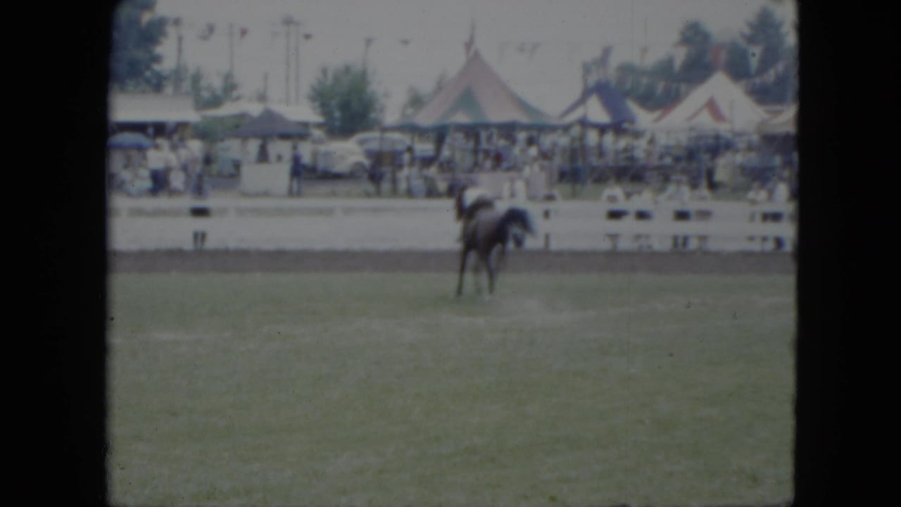 Horse and rider farther across the grass with spectators, tents, and cars in the distance.
