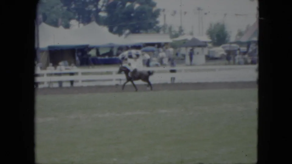 1951 Cleveland home-movie frame with a horse and rider moving along the far side of the field, near a rail, fair tent, spectators, and parked cars.