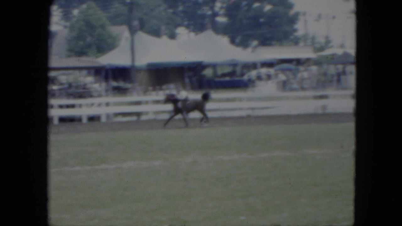 In 1951 Cleveland footage, a dark horse and helmeted rider move across a grassy arena with spectators and tents behind a white fence.