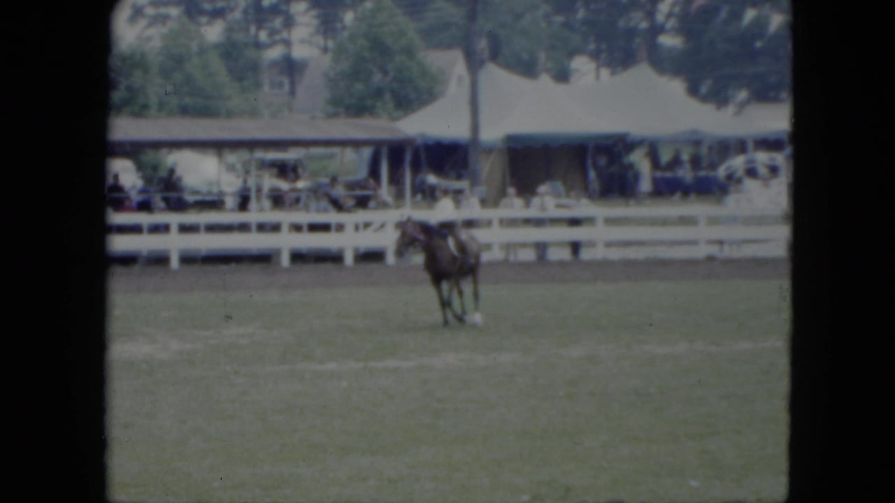 Horse and rider in a grassy ring with spectators behind a white fence.