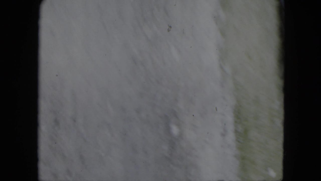 Soft 8mm frame with pale blurred texture, dark gate edge, and no clearly identifiable subject.