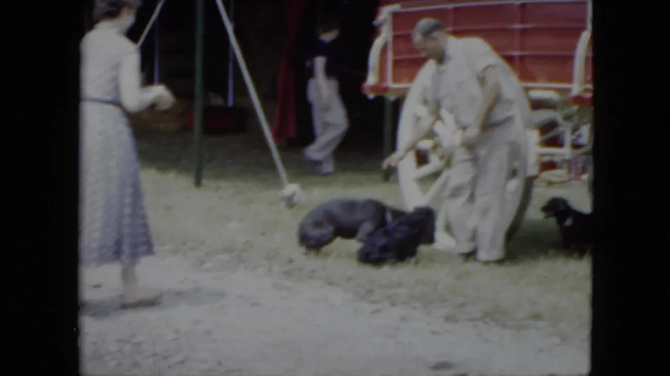 1951 Cleveland home-movie frame showing adults near several dogs, a red wagon, and a tent entrance at an outdoor event.