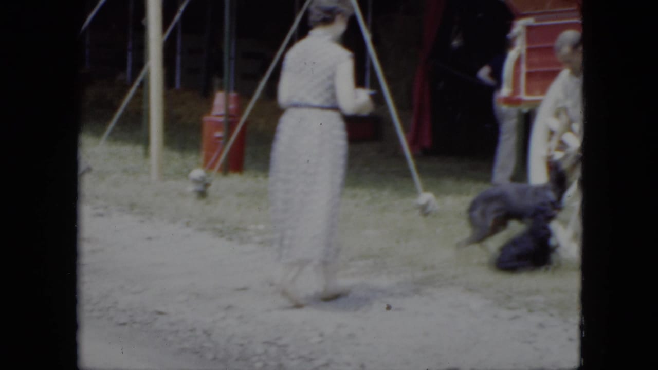 Woman in a patterned dress walks near handlers, dogs, tent poles, and a red wagon.