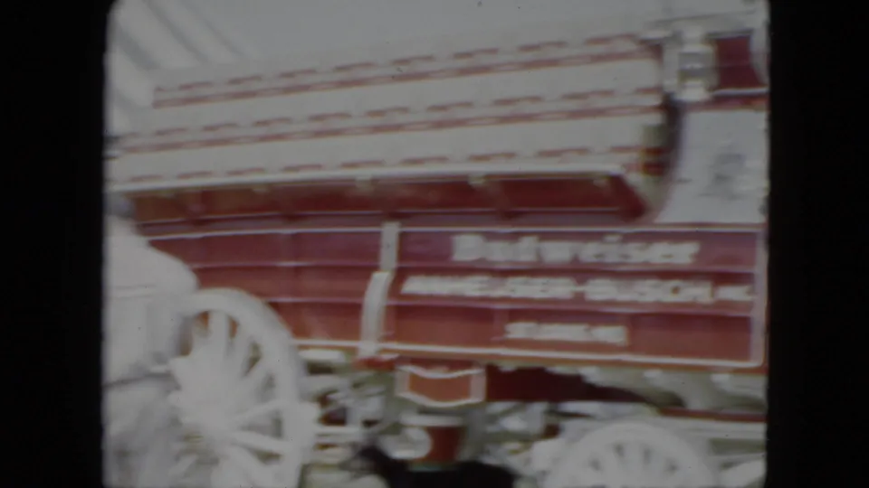 Close 1951 Cleveland home-movie view of a red Anheuser-Busch stagecoach with white lettering and wooden wheels.
