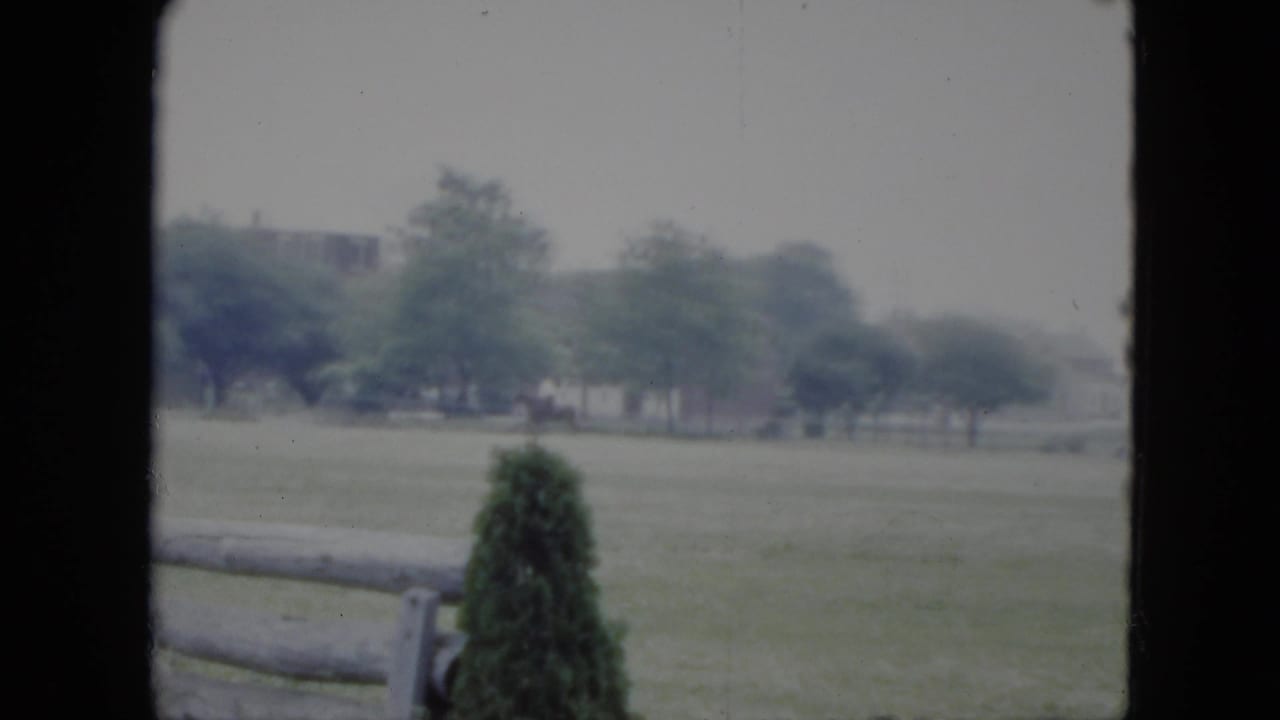 1951 Cleveland home-movie frame showing a grassy field beyond a wooden rail fence, with evergreen shrubs and distant trees.