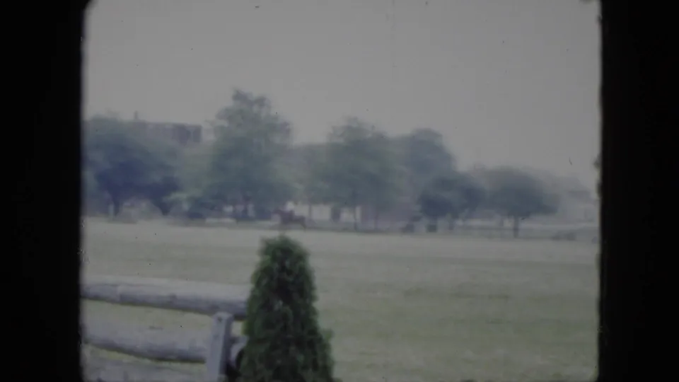 1951 Cleveland home-movie frame showing a grassy field beyond a wooden rail fence, with evergreen shrubs and distant trees.