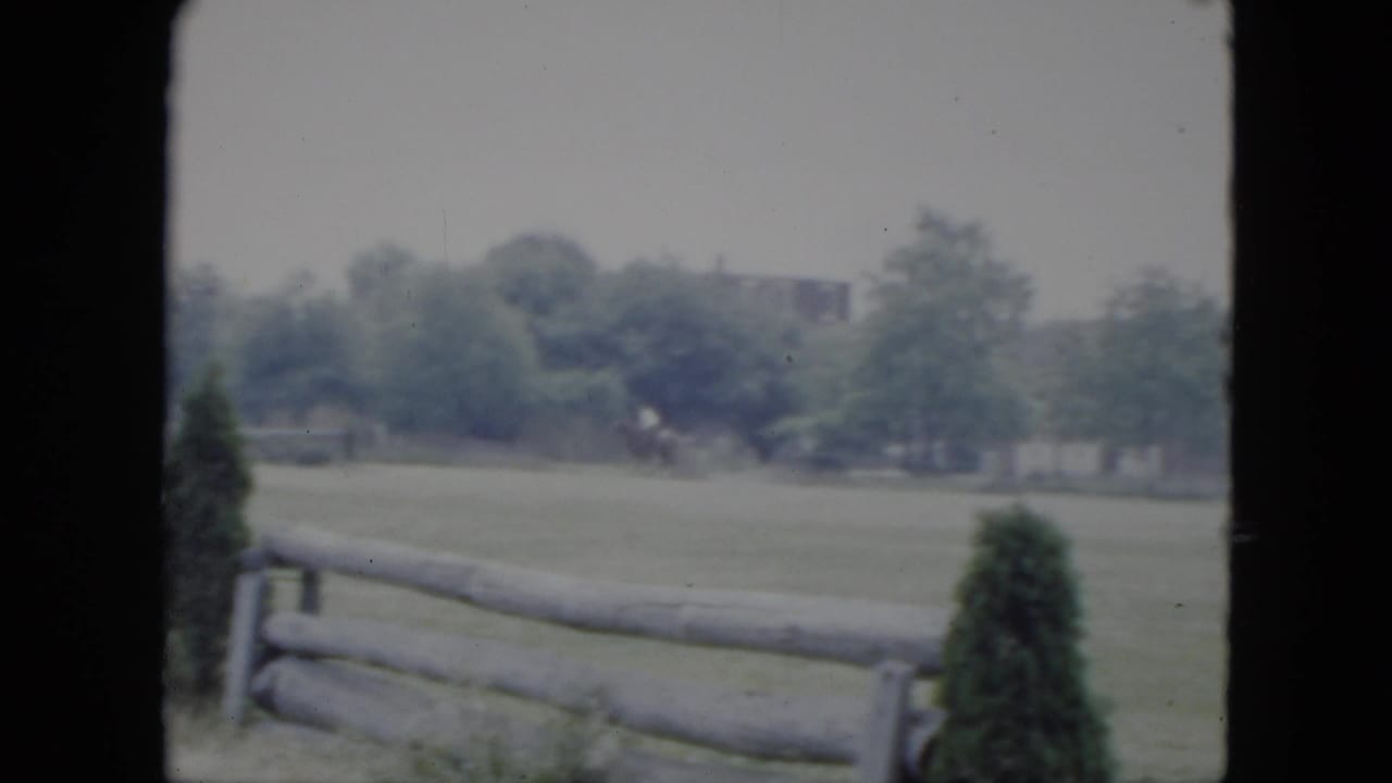 Open field behind a wooden fence with shrubs, trees, and a small distant rider-like figure.