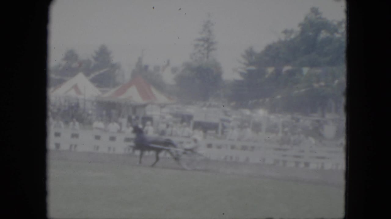 Dark horse pulling a two-wheeled sulky past white fencing and tents.