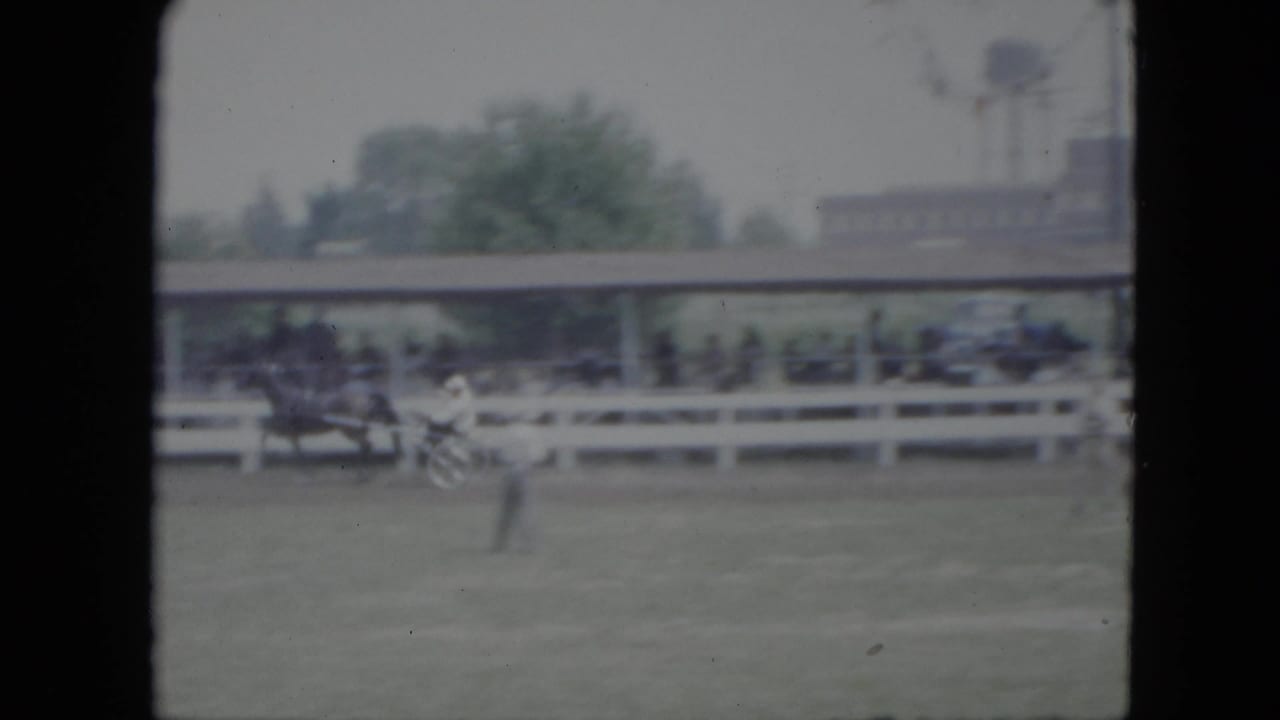 Harness racing on a grassy track behind white rail fencing with spectators in the background.