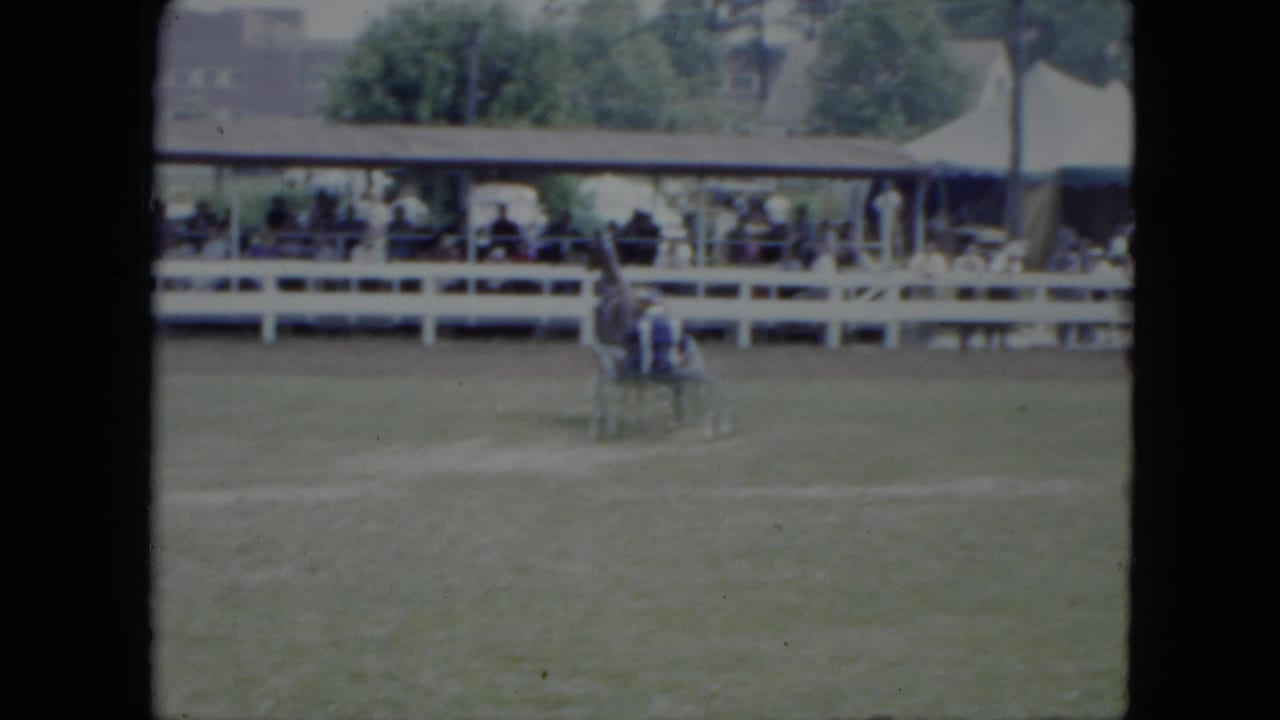 Harness horse and sulky on a grassy track near white fencing and covered stands.