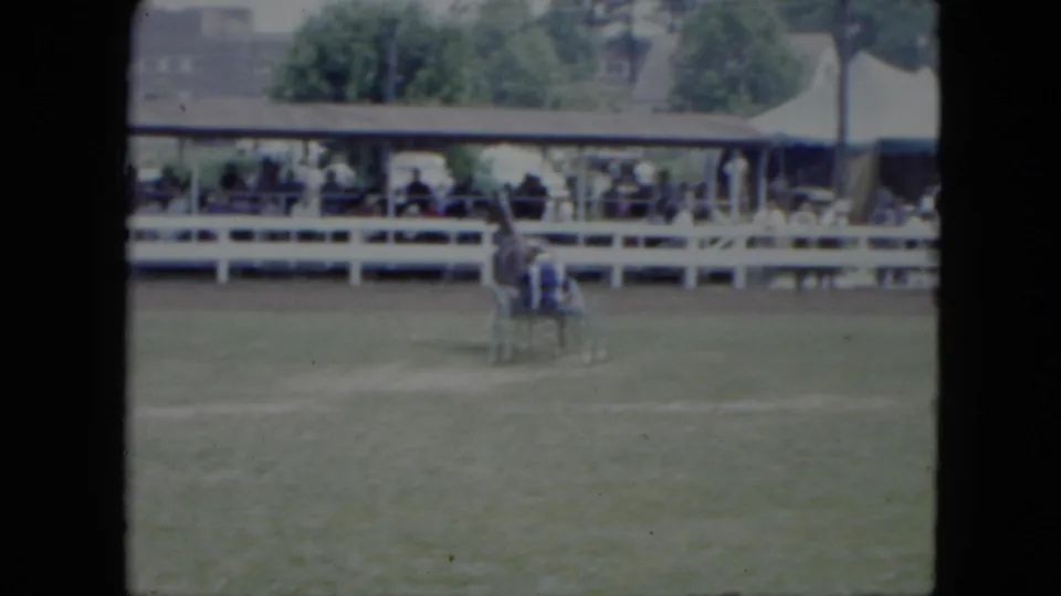 1951 Cleveland harness-racing scene with a horse and sulky on grass before spectators in a covered stand.