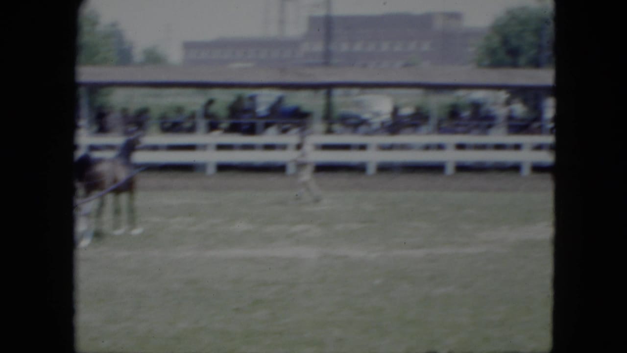 A harness horse and sulky cross the grassy arena in Cleveland, Ohio, with distant spectators behind a white rail.