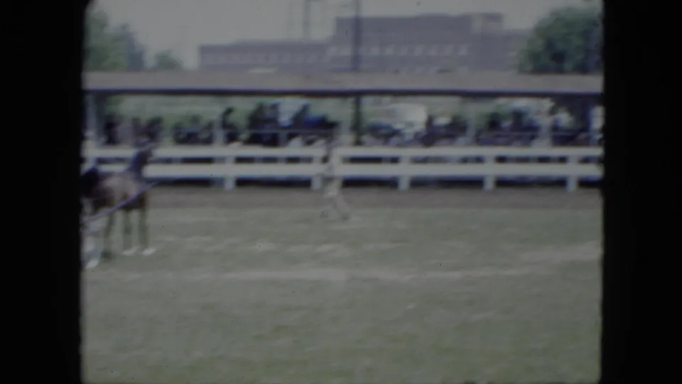 A harness horse and sulky cross the grassy arena in Cleveland, Ohio, with distant spectators behind a white rail.