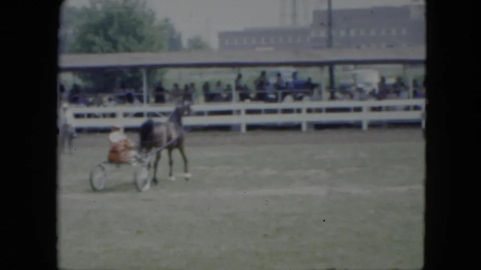 A 1951 Cleveland harness-racing view shows a horse and two-wheeled cart near the white fence and seated spectators.