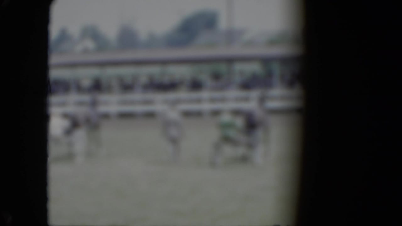 Soft-focus view of horses and carriages near a grandstand at a fairground.