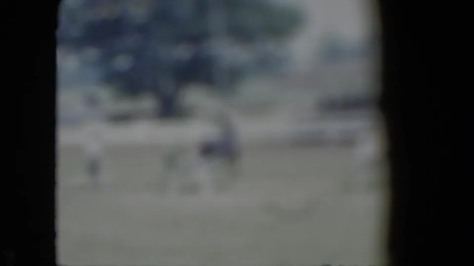 Soft-focus closing frame of the Cleveland-area carriage event, with distant horse teams, arena grass, and grandstand structures visible.