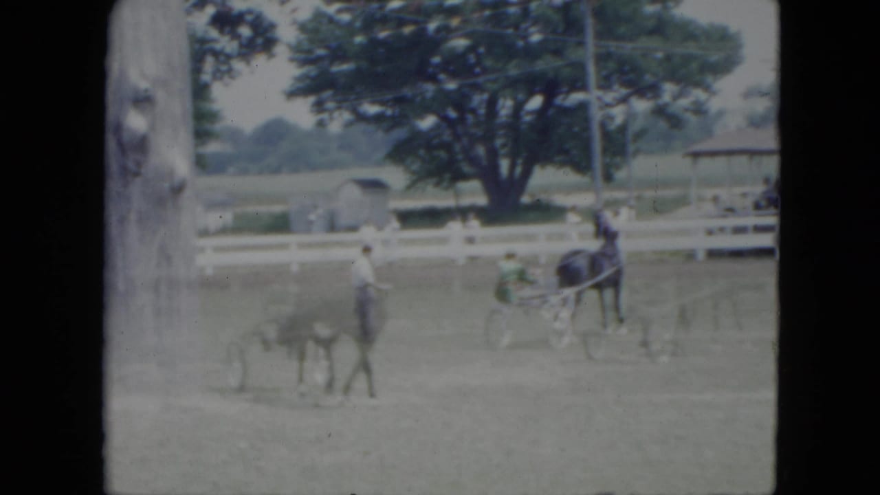 Two horse-drawn sulkies move across a grassy track near a white fence.