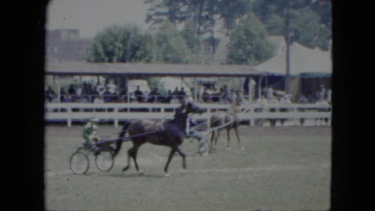 1951 Cleveland frame with a sulky driver in green passing a covered grandstand, white rail fence, and trees at a local track.