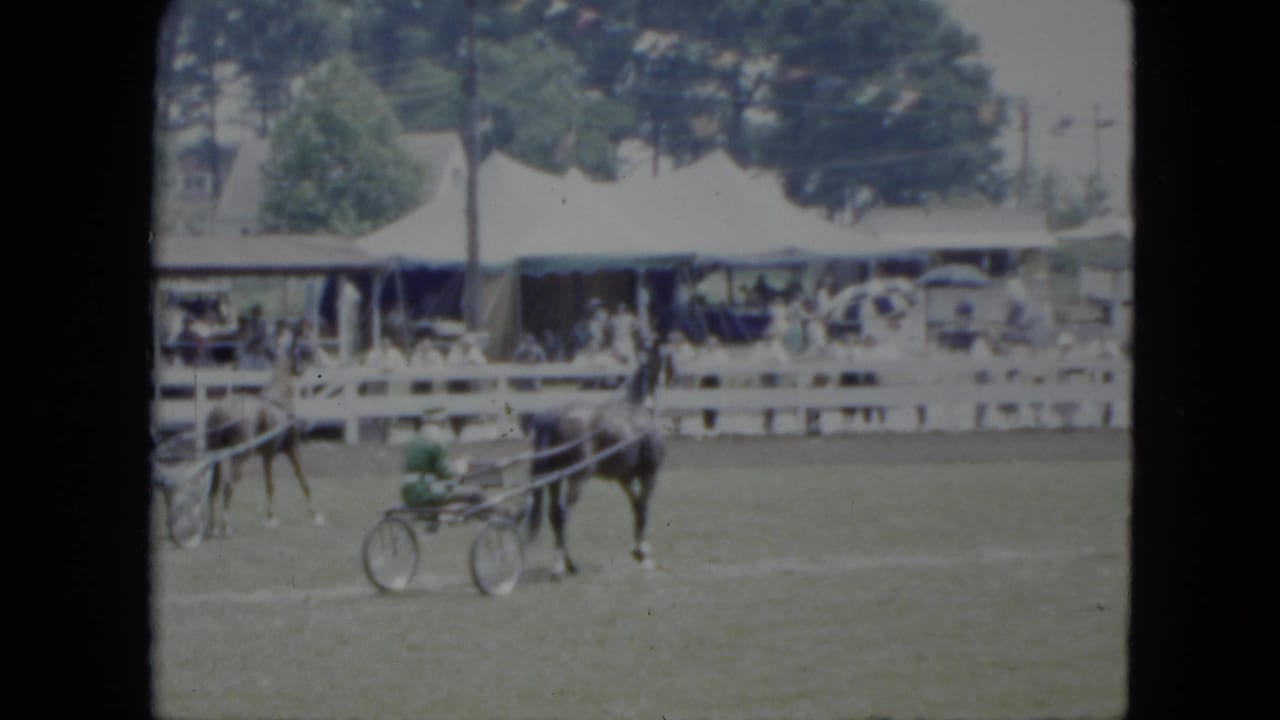 Harness horse pulling a green sulky on a grass track before tents and spectators.