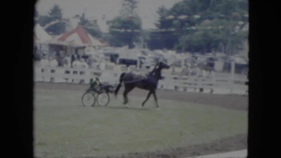 A dark harness horse pulls a blue sulky past the white rail at the Cleveland outdoor racing scene.