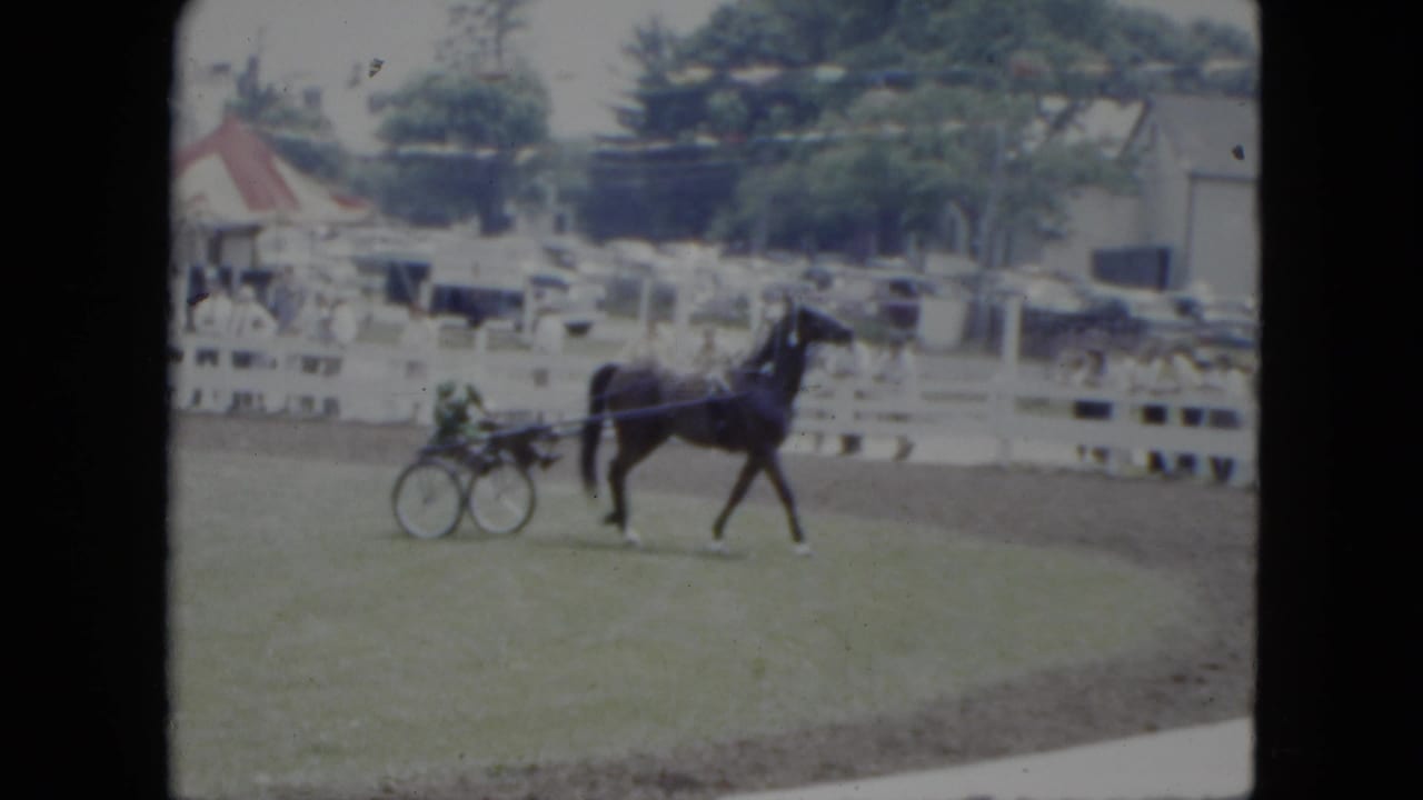 1951 Cleveland fairground view of a dark horse pulling a two-wheeled sulky past a white rail fence with spectators and cars behind it.