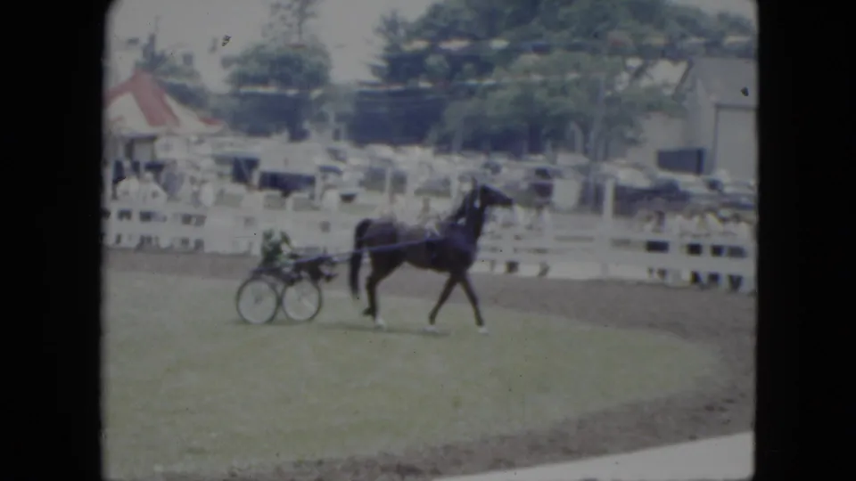 1951 Cleveland fairground view of a dark horse pulling a two-wheeled sulky past a white rail fence with spectators and cars behind it.