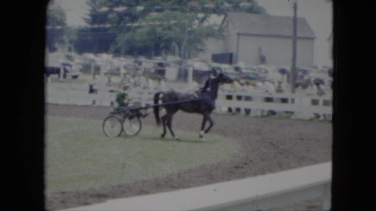Horse and sulky pass along the track with fairground fencing and buildings behind.