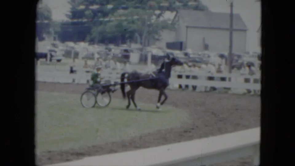 A dark horse trots with a sulky on a Cleveland fairground track, with a white fence, cars, and light-colored buildings in the background.