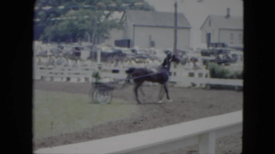 The sulky driver in green rides behind a dark horse on the dirt track, with spectators and fairground structures visible beyond the fence.