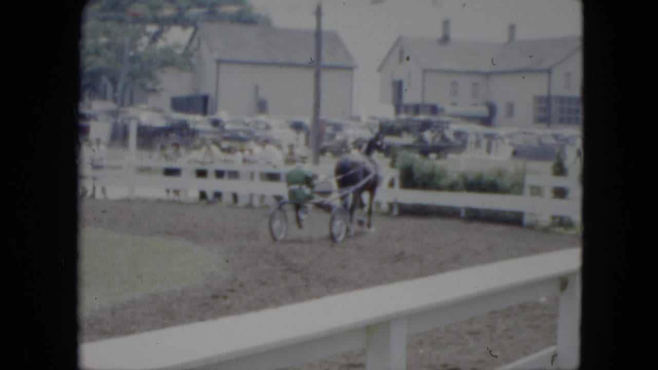 Horse pulls a two-wheeled chaise cart along a dirt track near a white fence.