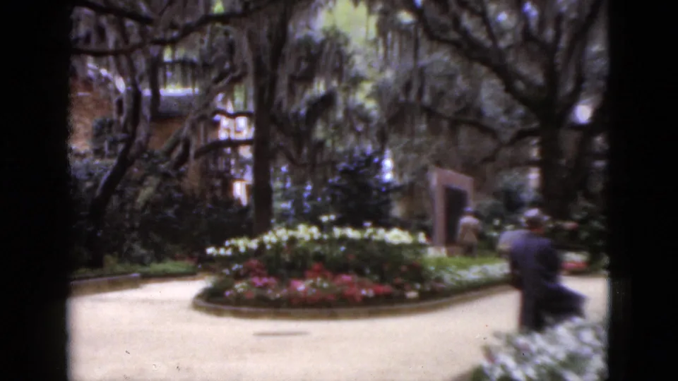 1952 Florida home-movie frame of a visitor walking through a planted garden with Spanish moss overhead.