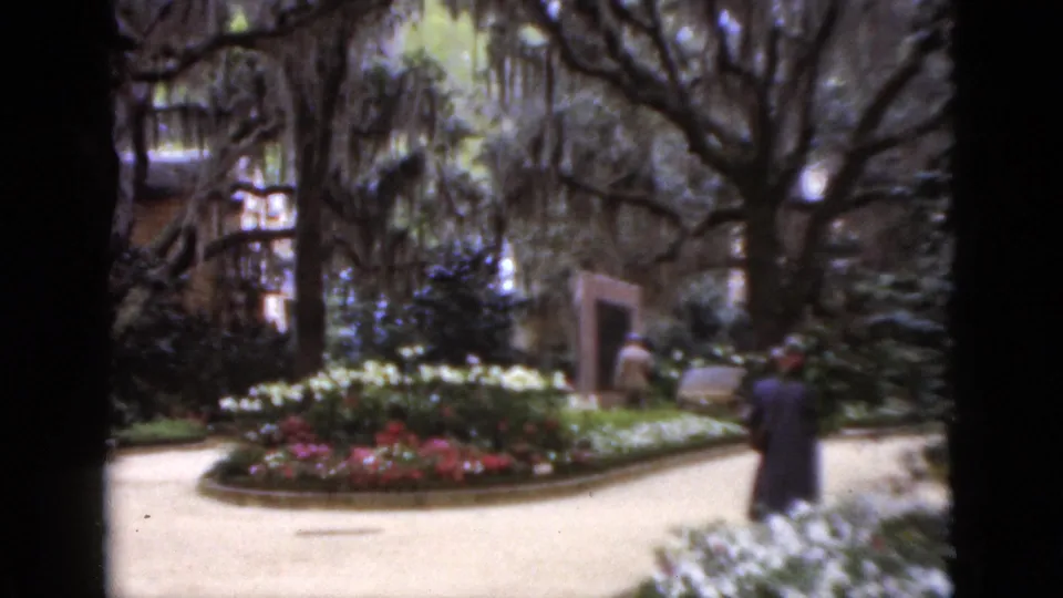 A visitor seen from behind walks through a Florida garden framed by flower beds and hanging Spanish moss.