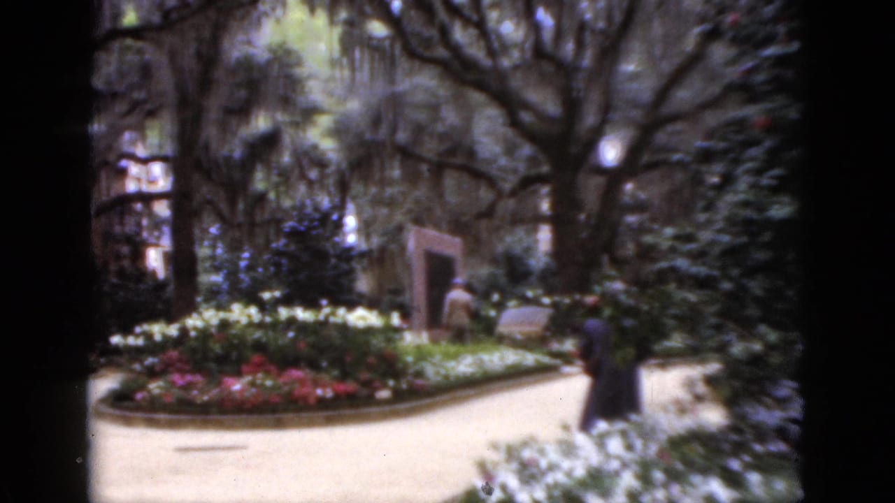 1952 Florida 8mm frame showing a landscaped garden path with red and white flowers, large trees, shrubs, and a distant visitor.