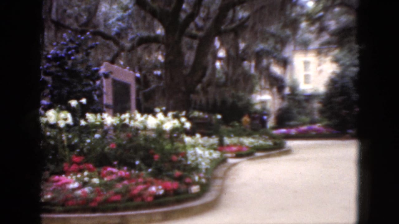 Curved garden walkway beside flower beds, shrubs, trees, and a light-colored building in the distance.